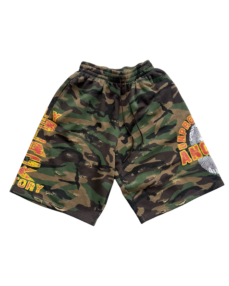 UA 3/4 Shorts